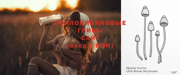 хмурый Армянск